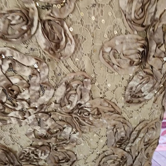 Alex Evenings Rosetta Gown Size 18 NWT - Picture 4 of 5